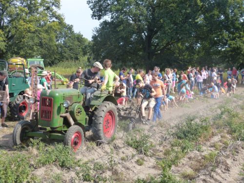 gemeinsame Kartoffelernte © Landtechnik-Museum Braunschweig - Gut Steinhof