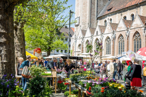 © Braunschweig Stadtmarketing GmbH - Marek Kruszewski