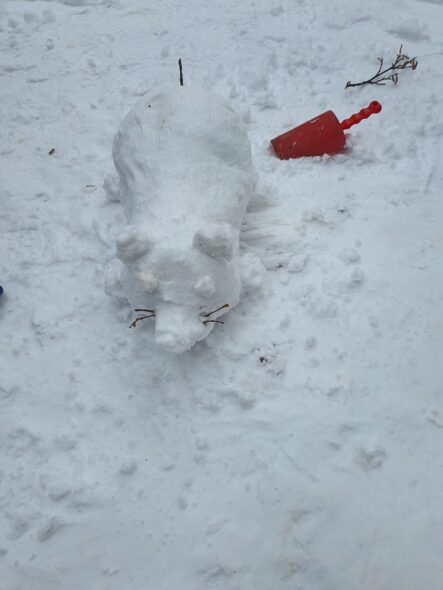 28deed05-9c00-4e0e-9b69-f3523c6e2fdb