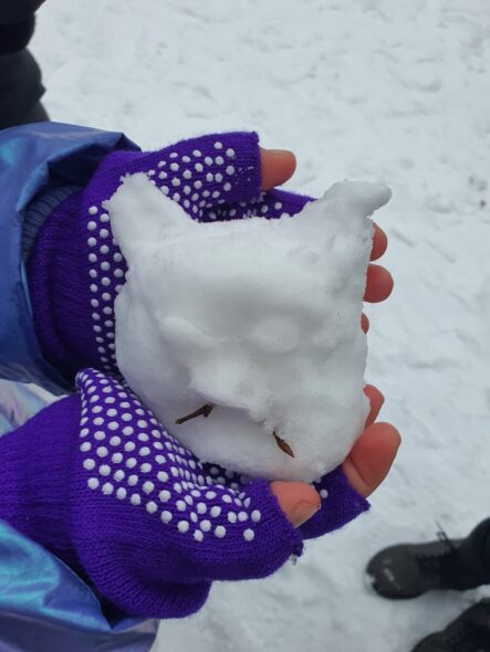 954a3ac6-a16e-4219-be95-2338149a6af3